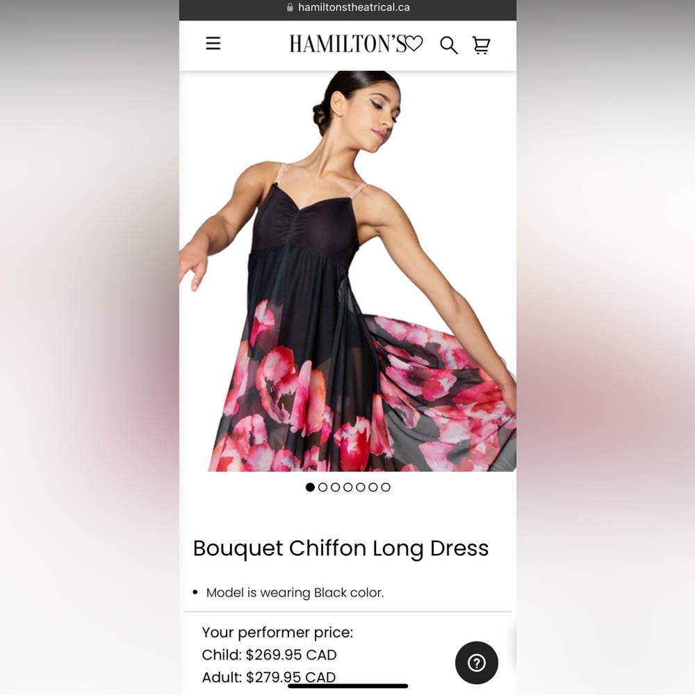 NWT AL Dance Inked Black Bouquet Long Chiffon Dress. SF Pet friendly home.